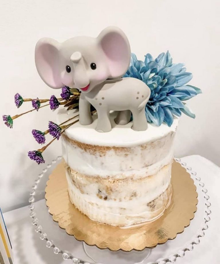 Baby Elephant Naked Cake Piazza's Bakery